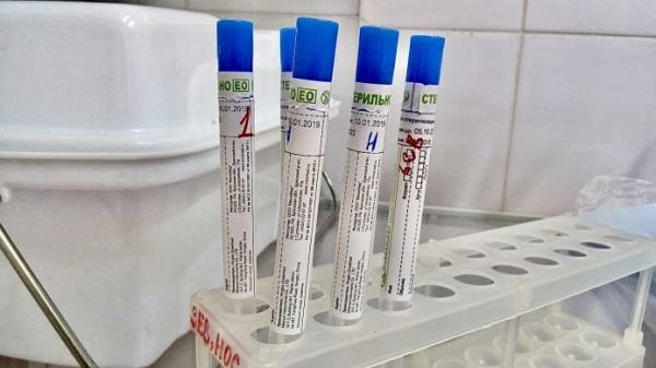Более 28 тысяч тестов на коронавирус сдали петербуржцы во вторник