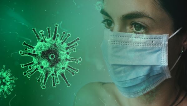 В Роспотребнадзоре заявили о невозможности передачи коронавируса от животного к человеку